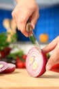 Female chopping food ingredients. Royalty Free Stock Photo
