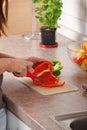 Female chopping food ingredients Royalty Free Stock Photo