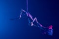 Female circus gymnast hanging upside down on aerial silk on black background with blue backlight. Young woman performs Royalty Free Stock Photo