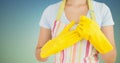 Female cleaner wearing apron and rubber gloves Royalty Free Stock Photo