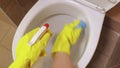 Female cleaning toilet