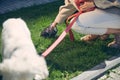 Female cleaning up after her pet outside Royalty Free Stock Photo