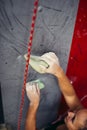 Female climber hands holding artificial boulder in climbing gym, closeup shot Royalty Free Stock Photo