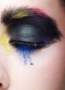 Female closed eye with unusual artistic painting makeup Royalty Free Stock Photo