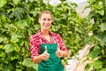 Female commercial gardener in green house