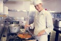 Female cook preparing food in kitchen Royalty Free Stock Photo