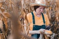 Female corn farmer using digital tablet in cornfield, smart farming Royalty Free Stock Photo