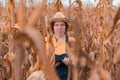 Female corn farmer using digital tablet in cornfield, smart farming Royalty Free Stock Photo