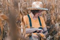 Female corn farmer using digital tablet in cornfield, smart farming Royalty Free Stock Photo