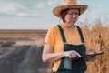 Female corn farmer using digital tablet in cornfield, smart farming Royalty Free Stock Photo