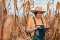 Female corn farmer using digital tablet in cornfield, smart farming Royalty Free Stock Photo