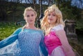 Female cosplayers as Disney Princesses