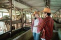 female cow farmer wearing a hat stands chatting with a male partner looking at the cows