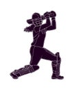 Cricket women 4