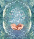 Ask a Numerologist for guidance