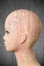 Female cyborg head on dark gray background Royalty Free Stock Photo