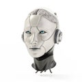 Female cyborg head isolated on white background. 3D illustration Royalty Free Stock Photo