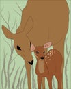 Female deer with fawn deer, vector illustration