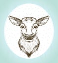 Female deer front view portrait, vintage style