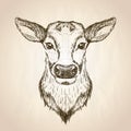 Female deer graphic sketch portrait illustration, front view