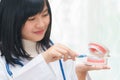 Female dentist demonstrate brushing teeth with teeth model Royalty Free Stock Photo