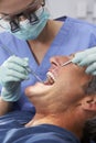 Female Dentist Giving Male Patient Check Up