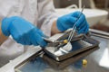 Female dentist hands holding dental tools and teeth.