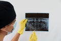 Female dentist inspecting the x-ray of the teeth of her patient