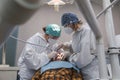 Female dentist with a patient in her office. Patient with open mouth and woman dentist working. dental health concept