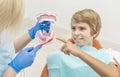 Female Dentist Showing How to Clean Teeth Properly Royalty Free Stock Photo