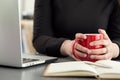 Female designers in office drinking morning tea or coffee Royalty Free Stock Photo