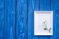 female desktop decoration with flowers and frame on blue wooden background top view mock-up Royalty Free Stock Photo