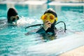 Female diver and male divemaster, dive lesson Royalty Free Stock Photo