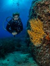 Female diver and Yellow gorgonian, Formiche Reef Royalty Free Stock Photo