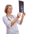 Female Doctor analyzing MRI Royalty Free Stock Photo