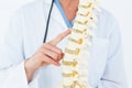 Female doctor with anatomical spine Royalty Free Stock Photo