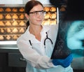 Female doctor check film x-ray image for patient medical care. Surgeon woman examining x-ray film of human body part then Royalty Free Stock Photo