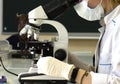 A female doctor conducts medical research using a microscope. Royalty Free Stock Photo