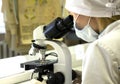 A female doctor conducts medical research using a microscope. Royalty Free Stock Photo