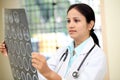 Female doctor examining a brain scan Royalty Free Stock Photo