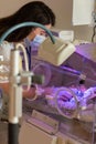 Female doctor examining newborn baby in incubator Royalty Free Stock Photo