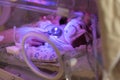 Female doctor examining newborn baby in incubator. Close up female hands with a stethoscope Royalty Free Stock Photo