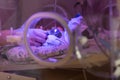 Female doctor examining newborn baby in incubator. Close up female hands with a stethoscope Royalty Free Stock Photo