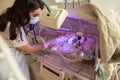 Female doctor examining newborn baby in incubator Royalty Free Stock Photo