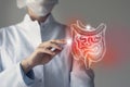 Unrecognizable doctor holding highlighted handrawn Intestine in hands. Medical illustration, template, science mockup