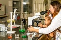 Female doctor and little helper checking covid 19 virus samples under microscope Royalty Free Stock Photo