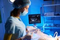 Female doctor using syringe for artificial fertilization