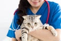 Female doctor veterinarian holding cute cat