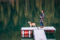 Female dog owner and his friend beagle dog on the wooden pier on the mountain lake during their walking in the autumn season time