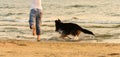 Female dog owner with his longhaired German Shepherd trains at sea beach